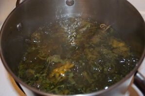 liečba kŕčových žíl s odvarmi